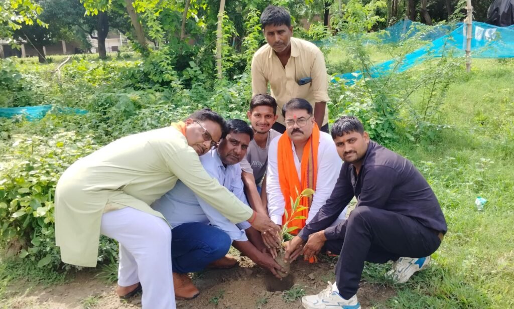 Tree Plantation